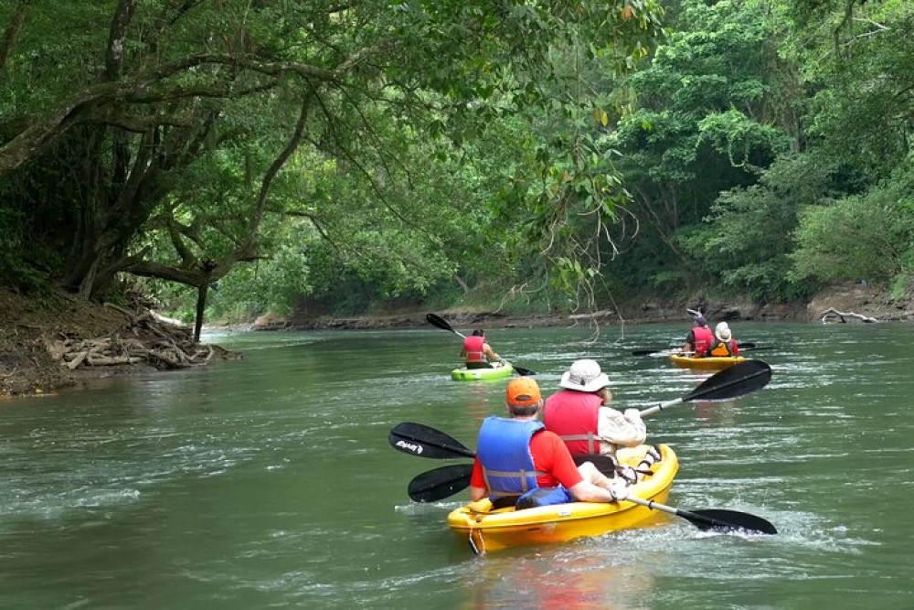 Unleash Your Adventurous Spirit: Outdoor Activities in the Surroundings of La Fortuna