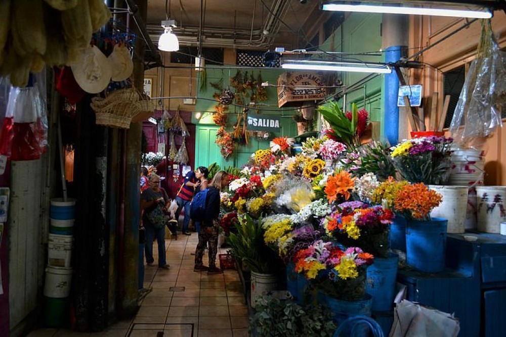 Experience the Central Market: Immerse Yourself in the Vibrant Atmosphere of San José's Culinary Hub