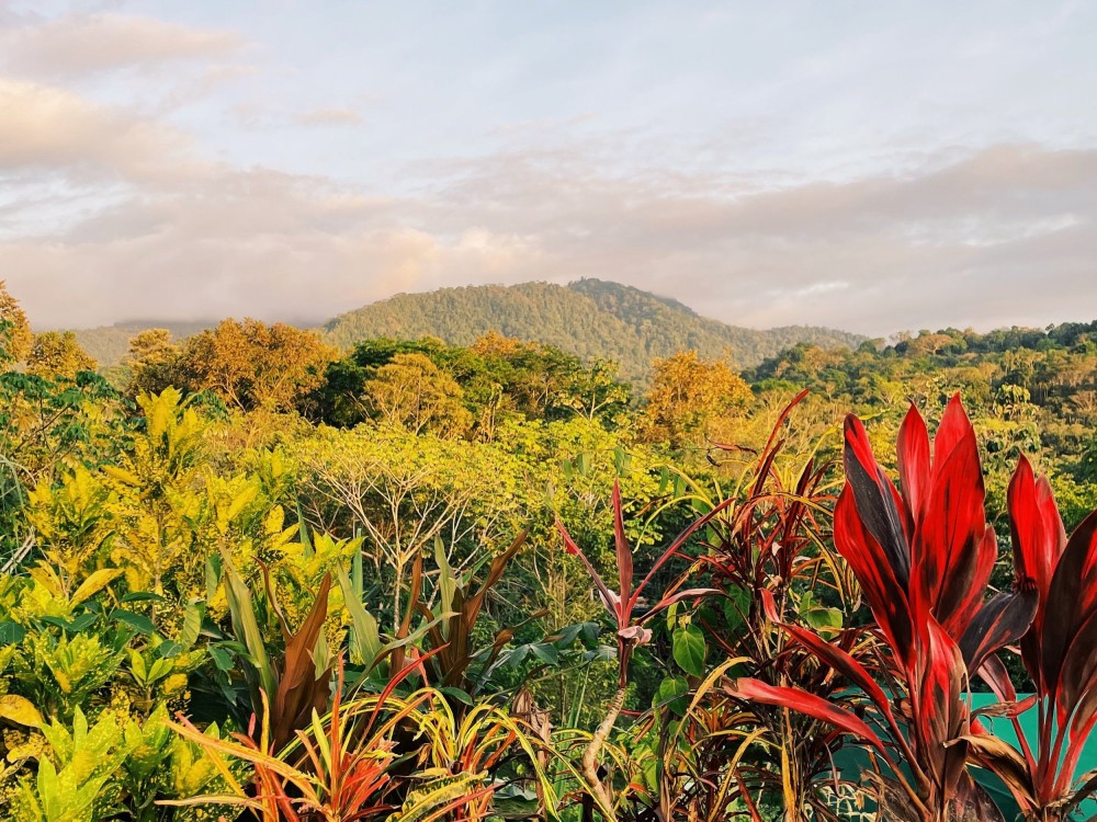 Explore the Local Art Scene: Immerse Yourself in Tamarindo's Creative Spirit