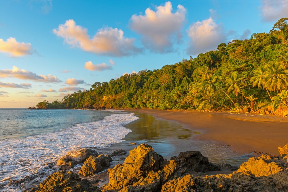Take a Day Trip to Nearby Beaches: Explore the Coastal Wonders Beyond Tamarindo