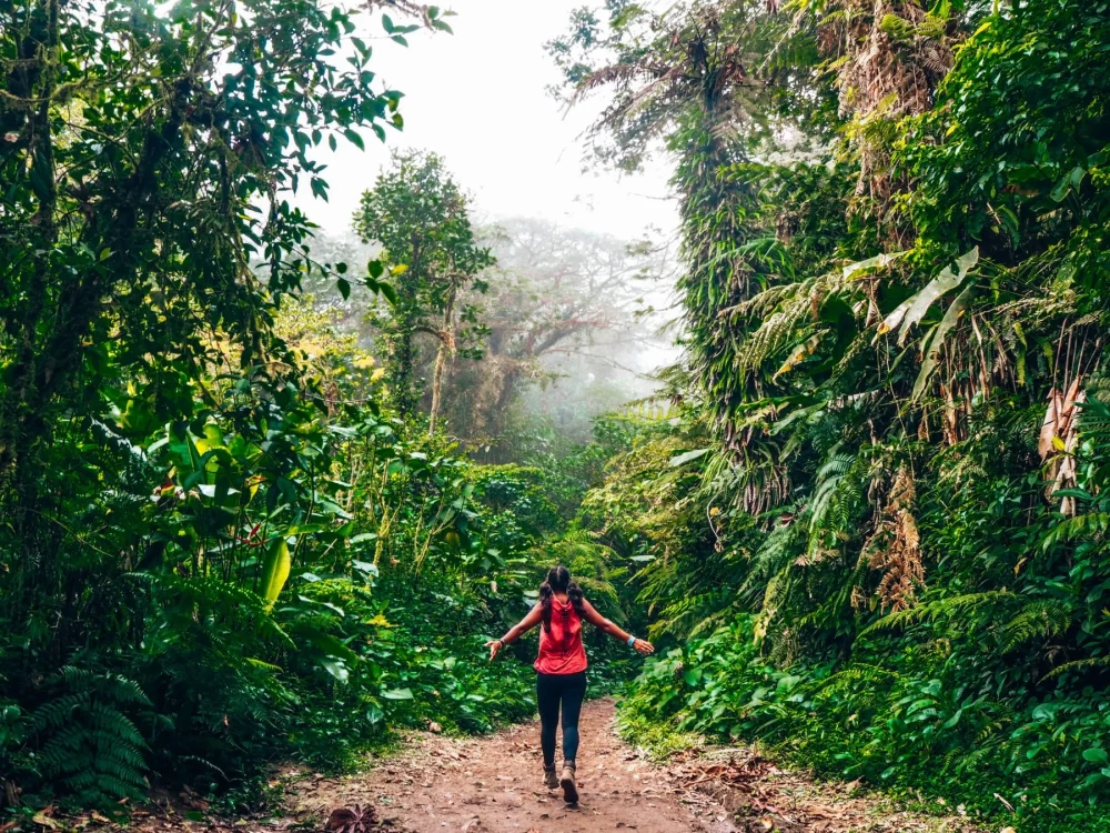 Dress in Layers: Be Prepared for Monteverde's Unpredictable Weather