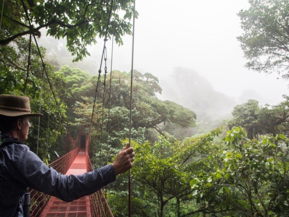 Unlock the Secrets of Monteverde's Cloud Forests: Embark on a Guided Tour for Unforgettable Wildlife Encounters!