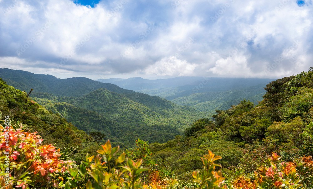 Unveil Nature's Hidden Gem: Santa Elena Cloud Forest Reserve Welcomes Adventurers and Birdwatching Enthusiasts!