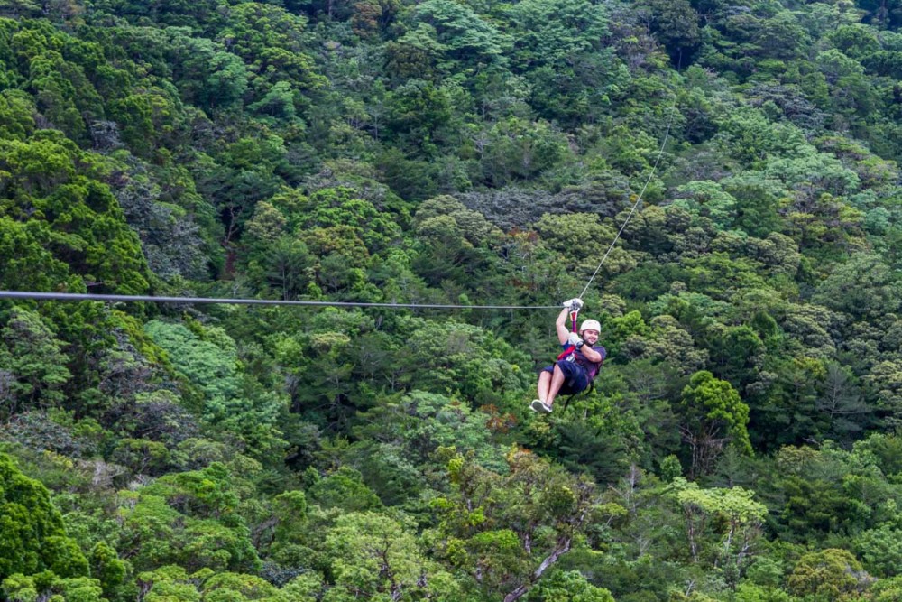 Unleash Your Inner Adventurer: Monteverde's Thrilling Ziplining Experience Takes You Soaring Through the Treetops!