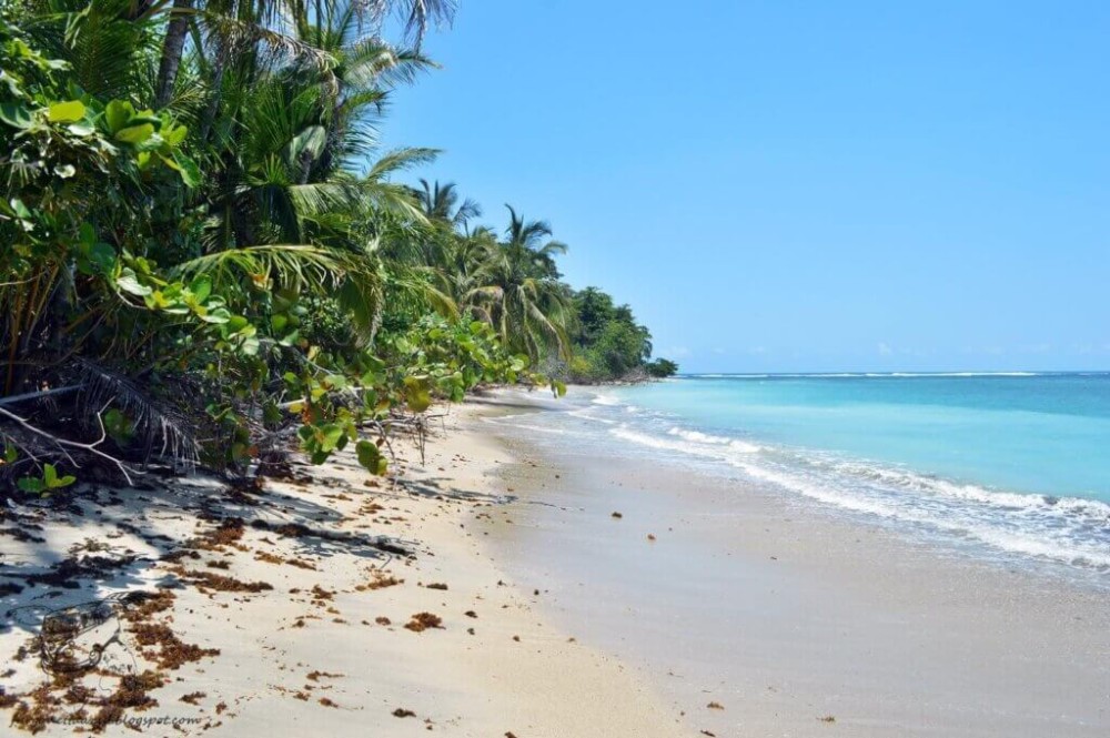 Unveil Nature's Masterpiece: Cahuita National Park Beckons Adventurers to Explore Pristine Beaches and Biodiversity-Rich Rainforests
