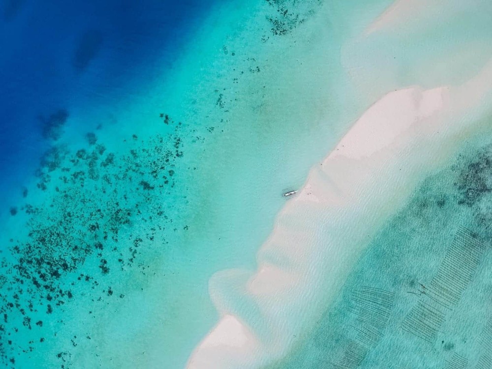 Heavenly Haven: Unwind and Explore the Serenity of Punta Uva, a Tropical Paradise of Tranquil Beaches and Enchanting Marine Life