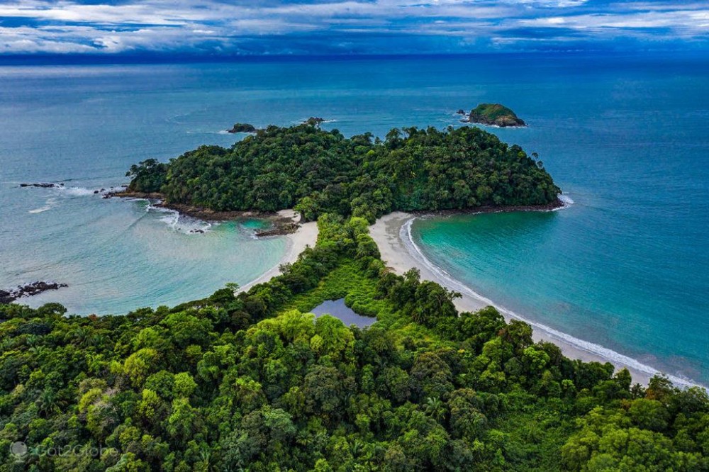 Discover the Paradise of Manuel Antonio National Park: A Tropical Haven in Costa Rica