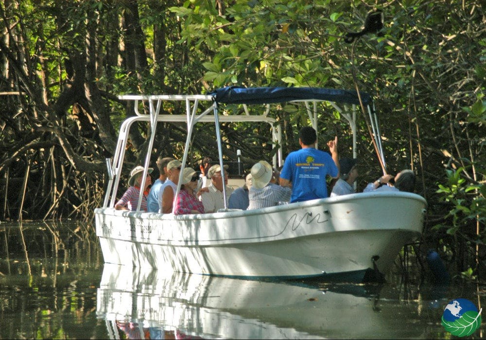 Discover the Hidden Paradise: Damas Island Estuary