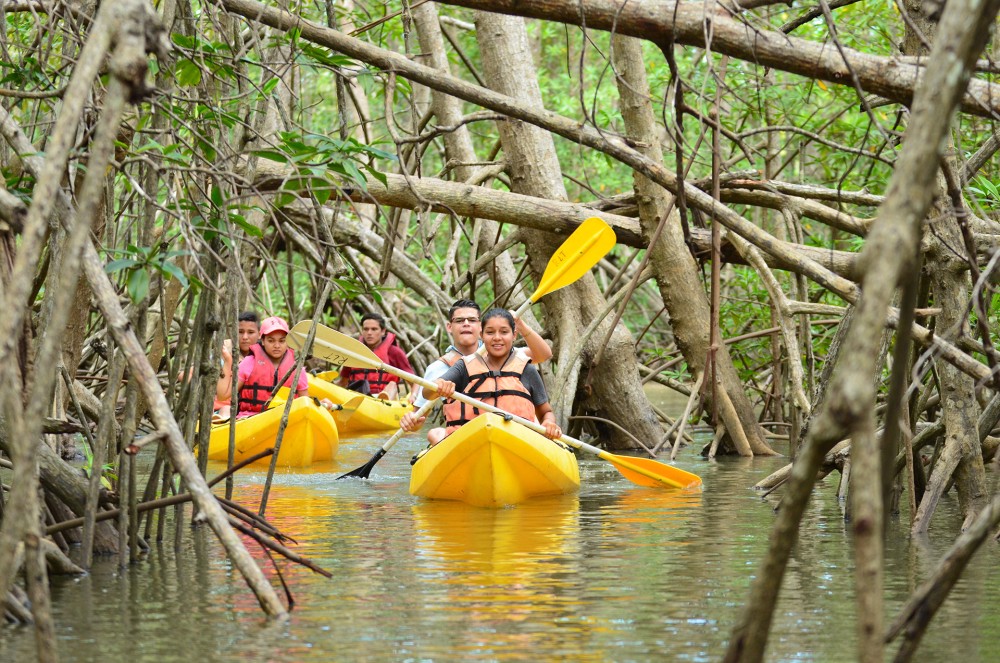 Isla Damas: Kayak Adventure through the Enchanting Mangroves of Costa Rica