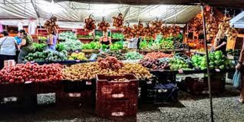 Quepos Farmers Market: A Vibrant Tapestry of Local Culture