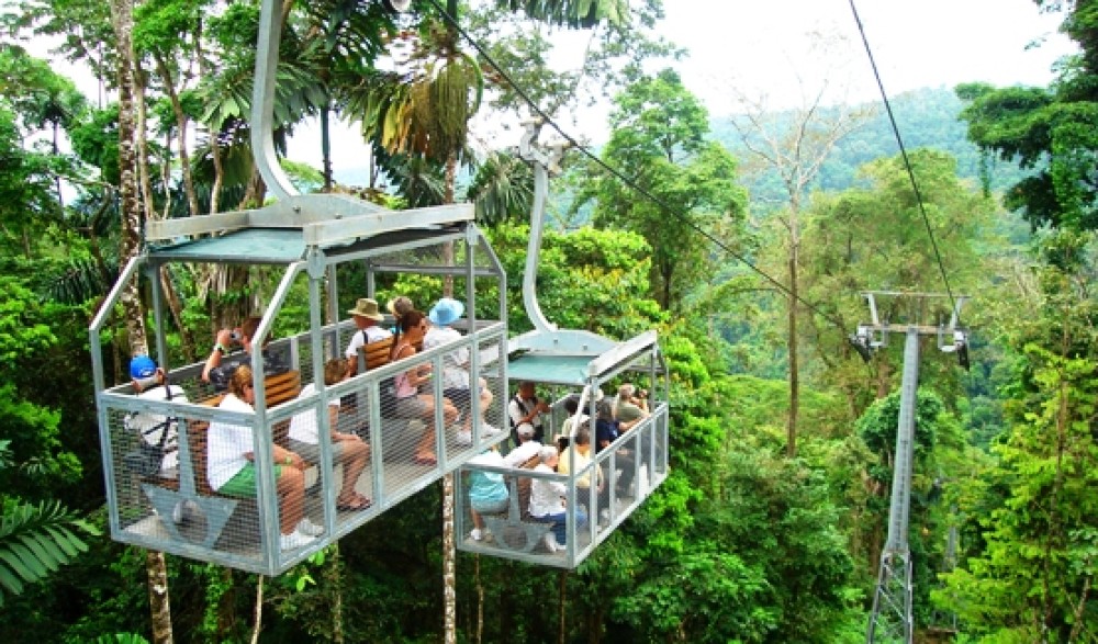 Veragua Rainforest Park: A Thrilling Eco-Adventure Awaits in the Heart of Costa Rica