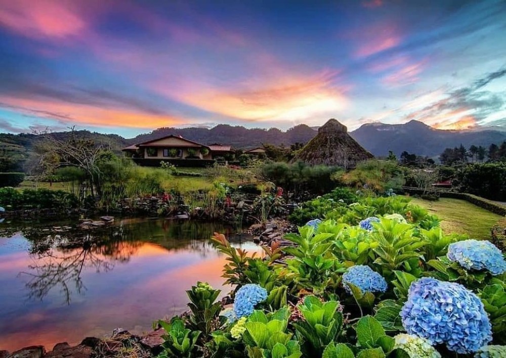 Osa Mountain Village Botanical Gardens: A Tropical Oasis of Beauty and Biodiversity