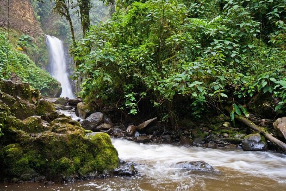 Discover the Enchantment of La Paz Waterfall Gardens: A Paradise of Waterfalls and Wildlife
