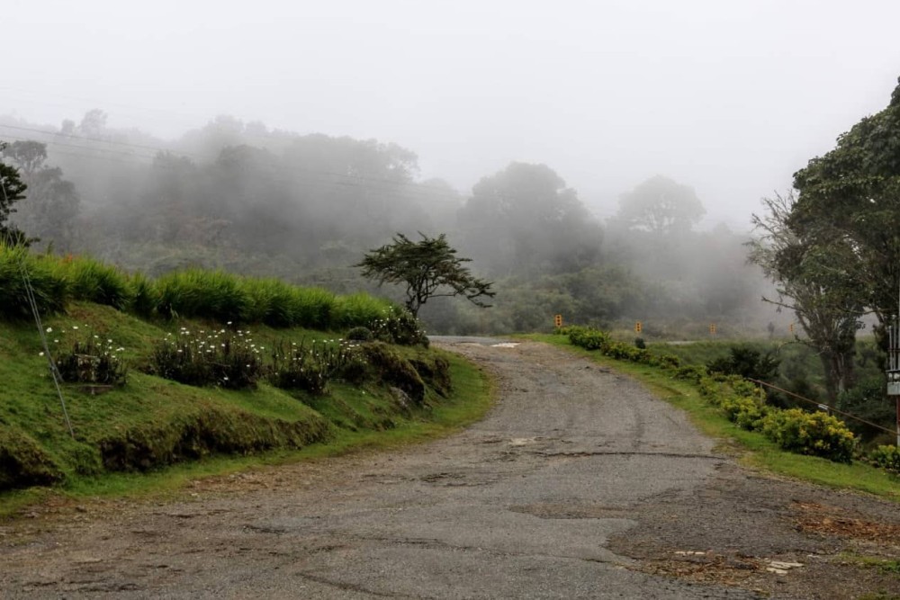 Cerro de la Muerte: A Mystical Journey through Misty Landscapes