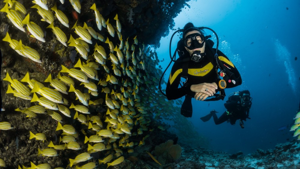Uncover the Underwater Paradise of Costa Rica: Snorkeling and Scuba Diving!