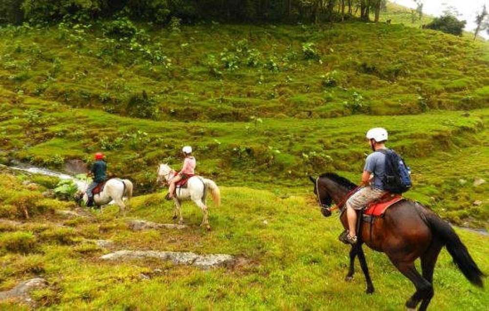 Experience the Beauty of Costa Rica: Embark on Enchanting Horseback Riding Tours