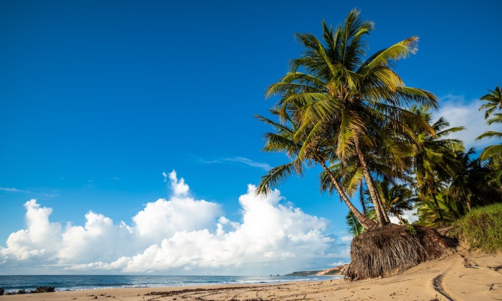 Discover the captivating beauty of Playa Hermosa, a hidden paradise nestled along the pristine coastline of Costa Rica