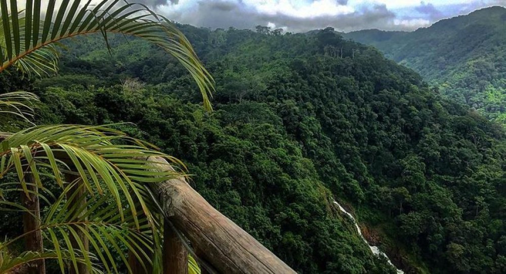 Carara National Park: A Rainforest Haven