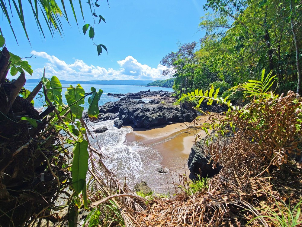 Drake Bay Hiking Trails: Unveiling Nature's Hidden Gems