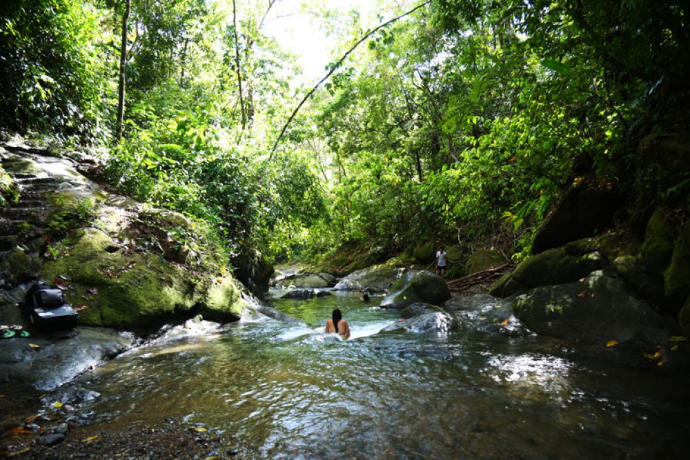 Cascada El Pavon: Nature's Marvel Beckons