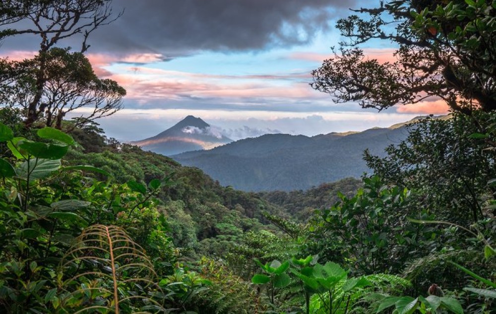 Werner Sauter Biological Reserve: A Verdant Oasis of Rainforests and Exploration
