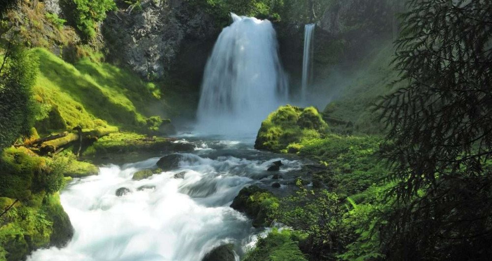 Hacienda Barú National Wildlife Refuge: A Nature Lover's Paradise Unveiled