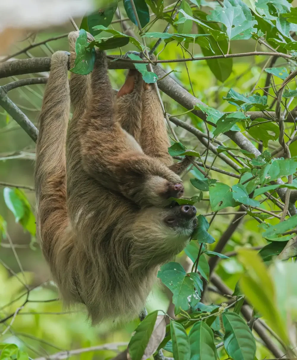 La Paz Waterfall Garden Nature Park & Peace Lodge