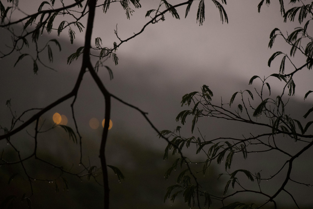 Tapantí Macizo de la Muerte National Park